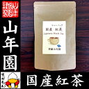 【国産 100%】巣鴨のお茶屋さんの紅茶 2g×15パック ティーパック ティーバッグ 静岡県産 送料無料 茶葉 プチギフト 無糖 苗 健康茶 ダイエット セット ギフト プレゼント お歳暮 お年賀 プチギフト お茶 2018 内祝い お返し