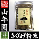 【国産100%】愛知県産 きくらげ粉末 70g送料無料 キクラゲ 木耳 パウダー 健康食品 サ
