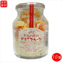 【送料無料】ヨーグルトと食べるドライフルーツ 120g×10個 パイン パパイヤ マンゴー おやつ 季折