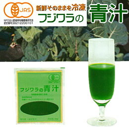 フジワラの青汁 90ml×56パック【冷凍】【送料無料】