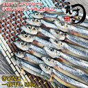 【きびなご干しが嬉しい 大容量 600g 20串】甘塩で干したきびなごを手刺しで串打ち・干物にしました。魚屋がガチで一つ一つ丁寧に作った、きびなごの一夜干しです。ビールのお供にぜひどうぞ【冷凍】