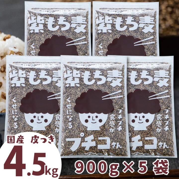 国産 皮つき 紫 もち麦 プチコさん 4.5kg （900g5袋）【からだにいいこと大賞準大賞！】 送料無料 ダイシモチ アントシアニン 腸内環境 食物繊維【RSL】【s50off-02】