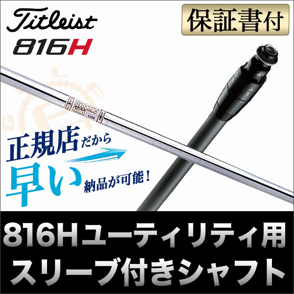y[J[JX^z^CgXg 816H1/816H2 VtgPi DG _Ci~bNS[h AMT