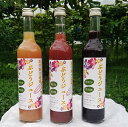 【ふるさと納税】ぶどうジュース 3種飲み比べ 500ml×3本セット フルーツ 葡萄