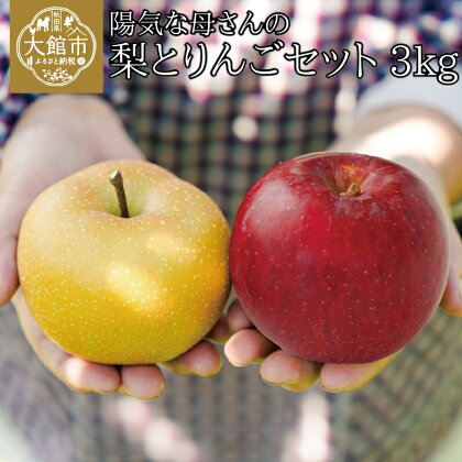 りんご なし 詰め合わせ セット 3kg 季節 数量限定 期間限定 大館 リンゴ 林檎 ナシ 梨 和梨 フルーツ 果物