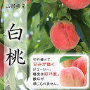 【ふるさと納税】山形県産白桃3kg《令和3年産》 F2Y-1609