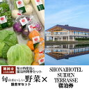 【ふるさと納税】【緊急支援品】旬の特産品と宿泊ギフト券セット【旬のおいしい野菜詰合せセット×SHONAI HOTEL SUIDEN TERRASSE】(クラウドファンディング対象)
