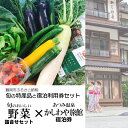 【ふるさと納税】【緊急支援品】旬の特産品と宿泊利用券セット【旬のおいしい野菜詰合せセット × あつみ温泉かしわや旅館】|山形県 鶴岡市 返礼品 支援品 楽天ふるさと 納税 特産品 名産品 お取り寄せ 宿泊券 宿泊 野菜 詰め合わせ 野菜セット 旅行券 旅行 温泉