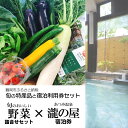 【ふるさと納税】【緊急支援品】旬の特産品と宿泊利用券セット【旬のおいしい野菜詰合せセット×あつみ温泉 瀧の屋】