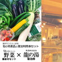 【ふるさと納税】【緊急支援品】旬の特産品と宿泊利用券セット【旬のおいしい野菜詰合せセット×奥湯野浜温泉 龍の湯】 | 山形県 鶴岡市 返礼品 支援品 楽天ふるさと 納税 特産品 名産品 お取り寄せ 宿泊券 宿泊 野菜 詰め合わせ 野菜セット 旅行券 旅行 温泉