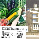 【ふるさと納税】【緊急支援品】旬の特産品と宿泊利用券セット【旬のおいしい野菜詰合せセット×海辺の宿 福住】
