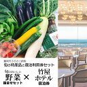 【ふるさと納税】【緊急支援品】旬の特産品と宿泊利用券セット【旬のおいしい野菜詰合せセット×竹屋ホテル】