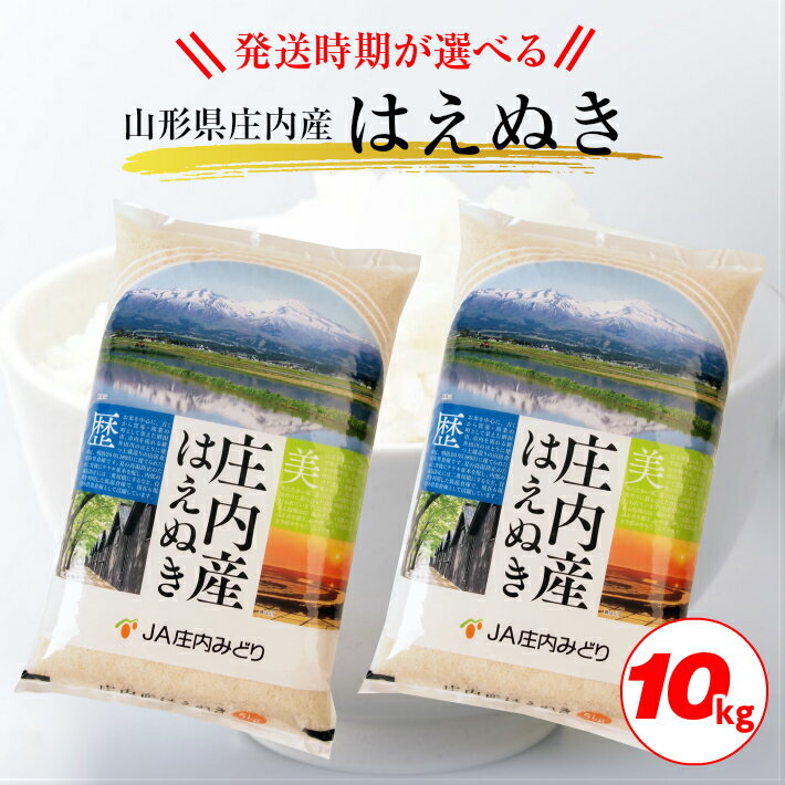 【ふるさと納税】はえぬき 5kg×2袋 計10kg 令和2年産米 山形県庄内産 ご希望の時期頃にお届け ※着日指定不可