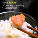 【ふるさと納税】≪定期便≫無洗米はえぬき5kg・無洗米つや姫...