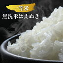 【ふるさと納税】一等米 無洗米はえぬき 5kg×2袋 計10...