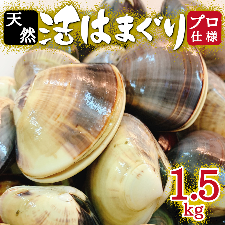 【ふるさと納税】 訳あり はまぐり ハマグリ 蛤 増量 国産 天然 砂抜き 送料無料 1.5kg 1kg超 千葉県産 九十九里産 レシピ 10月?7月発送 期間限定 コロナ支援 酒蒸し 焼き蛤 BBQ おせち お雑煮 お吸い物 貝 わけあり ※2/20?3/2発送不可