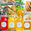 【ふるさと納税】東尋坊291 自家製シロップ たっぷり4本セット 〜木田シソ×越前ジンジャー×はちみつレモン×はちみつジンジャー〜 ◆ 紫蘇 しそ シソジュース しょうが ショウガ 20,000円