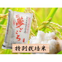 【ふるさと納税】特別栽培米★白米5kg【夢ごこち】 【お米】 お届け:2020年10月~