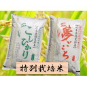 【ふるさと納税】特別栽培米★白米10kg【コシヒカリ・夢ごこち】 【コシヒカリ・お米】 お届け:2020年10月~