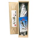【ふるさと納税】 塩さば 鯖 贈答用 冷凍 焼津 約800g以上 1本入 塩 さばギフト 箱入り a17-043