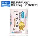 【ふるさと納税】《6ヶ月定期便》岩手県産農薬節減ひとめぼれ無...