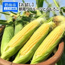 【ふるさと納税】とうもろこし 予約 3Lサイズ7本 【お試し】メロンより甘い!朝取りフルーツとうもろこし H095-002