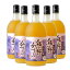 【ふるさと納税】(F02)紀州にごり梅酒・熊野かすみ720ml【5本セット】