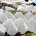 【ふるさと納税】幻の食材 天然クエ 500g 【冷凍便】紀伊...