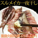 【ふるさと納税】■和歌山魚鶴仕込の国産大型サイズを厳選!肉厚するめいか一夜干し