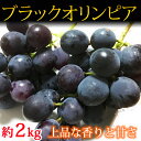 【ふるさと納税】紀州有田産ブラックオリンピア(ハチミツぶどう...