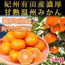 【ふるさと納税】紀州有田産濃厚完熟温州みかん5kg※2019...