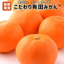 【ふるさと納税】■【こだわり】有田みかん 5kg(S〜Lサイ...