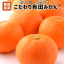 【ふるさと納税】■【こだわり】有田みかん 10kg(Mサイズ...