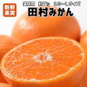 【ふるさと納税】有田みかん最高峰「田村みかん」7kg家庭用 ...