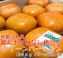 【ふるさと納税】【和歌山特産品】 柿の女王 特大サイズのたね...