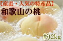 【ふるさと納税】【産直・人気の特産品】和歌山の桃 約2kg・...