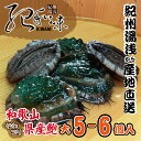 【ふるさと納税】■和歌山県産紀州活アワビ大 【5-6個入】