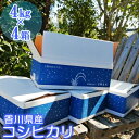 【ふるさと納税】令和2年コシヒカリ新米!(精米16kg)4k...