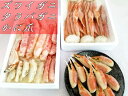 【ふるさと納税】【E-048】魚市場厳選 ずわいがに(肩・爪...
