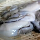 【ふるさと納税】【Z-006】魚市場厳選 冷凍むき身牡蠣(加...