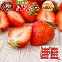 【ふるさと納税】<予約>あまおう 約400g×2パック(20...