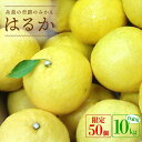 【ふるさと納税】爽やかに甘い!糸島産「はるか」 自家用 約1...