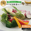 【ふるさと納税】【全3回定期便(月1回)】☆畑直送Premi...