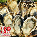 【ふるさと納税】ひろちゃんカキ中サイズ3kg(36個前後) ...
