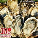 【ふるさと納税】【12月上旬着】ひろちゃんカキ大サイズ10Kg(100個前後) AJA006-2