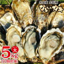 【ふるさと納税】ひろちゃんカキ大サイズ5kg(50個前後) ...