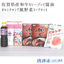 【ふるさと納税】 私たち食べたい!佐賀県産和牛カレー・ゾンビ...