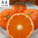 【ふるさと納税】 マーコット ハウス栽培 唐津産 2.5kg【令和3年2月上旬発送】