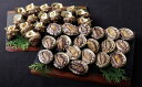 【ふるさと納税】九十九島あわび(1,400g)・さざえ(1,400g)