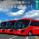 【ふるさと納税】G-013 対馬コース別観光バス乗車回数券2枚セット